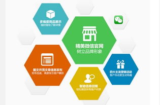 圈圈網絡公司微伙伴產品招商正火爆進行中，開啟網絡技術開發新篇章